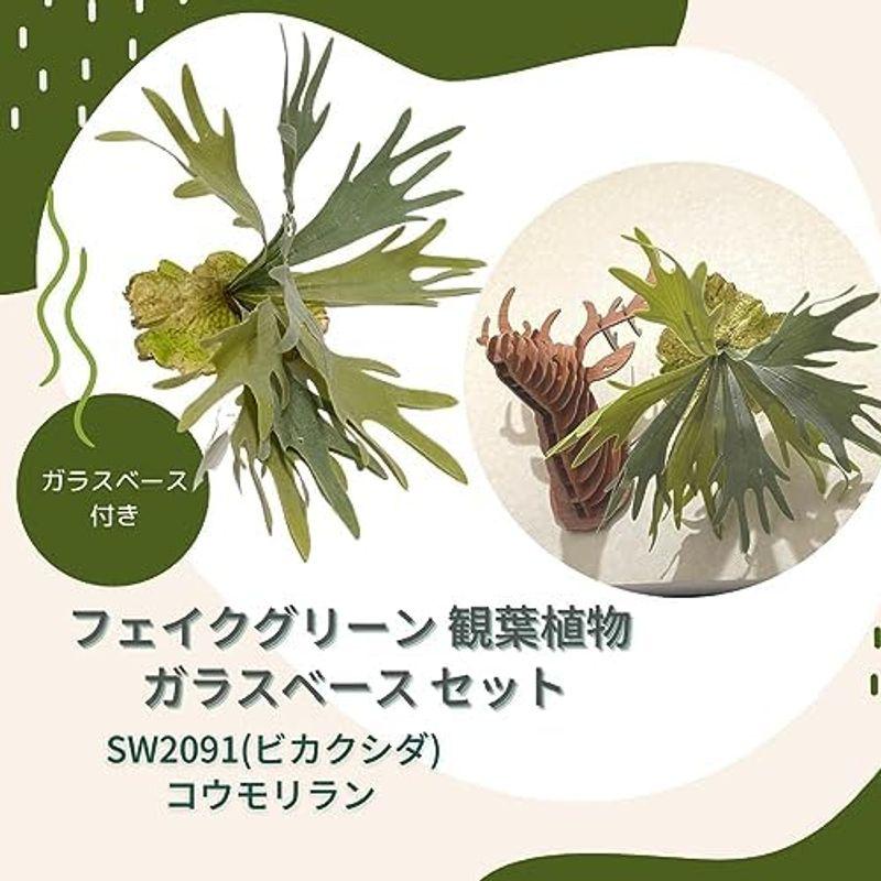 フェイクグリーン 観葉植物 ハンギング プランター セット SW2084(エアプランツ チランジア)ウスネオイデス｜lr-store｜06