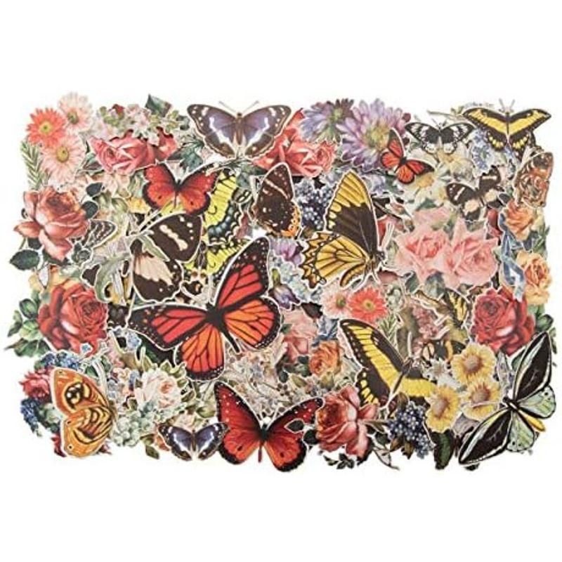 Tim Holtz Layers Botanical Craft Accessories, Multi-colour｜lr-store｜02