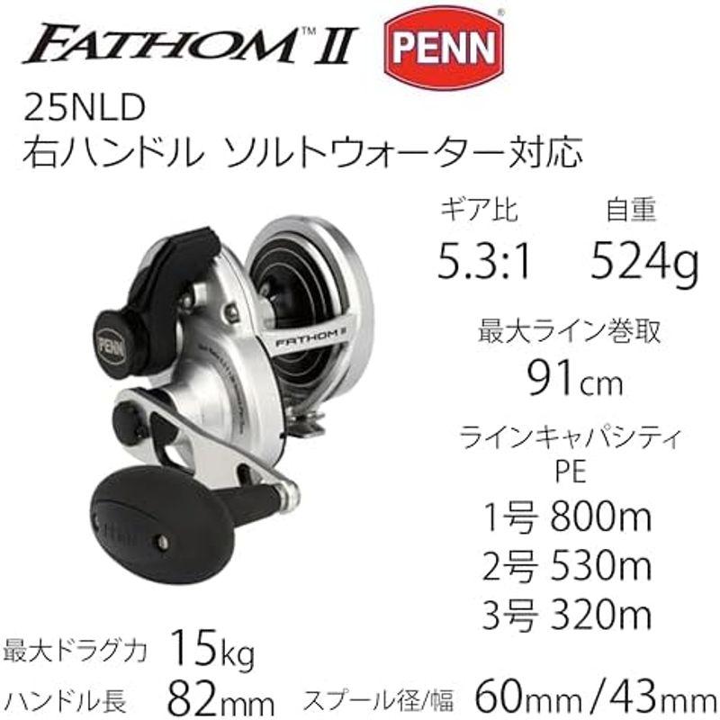 Penn ベイトリール ファゾム (FATHOM) II 15LD｜lr-store｜19