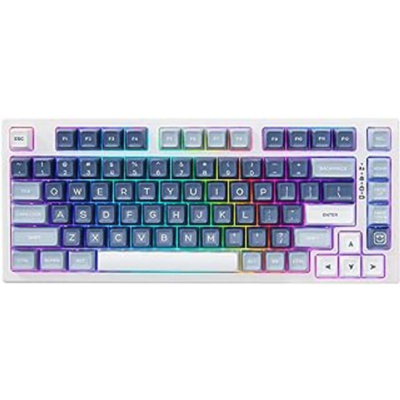 YUNZII YZ75 75% ホットスワップ対応ワイヤレスゲーミングキーボード RGBバックライト BT5.0/2.4G/USB-C、Dy｜lr-store｜02