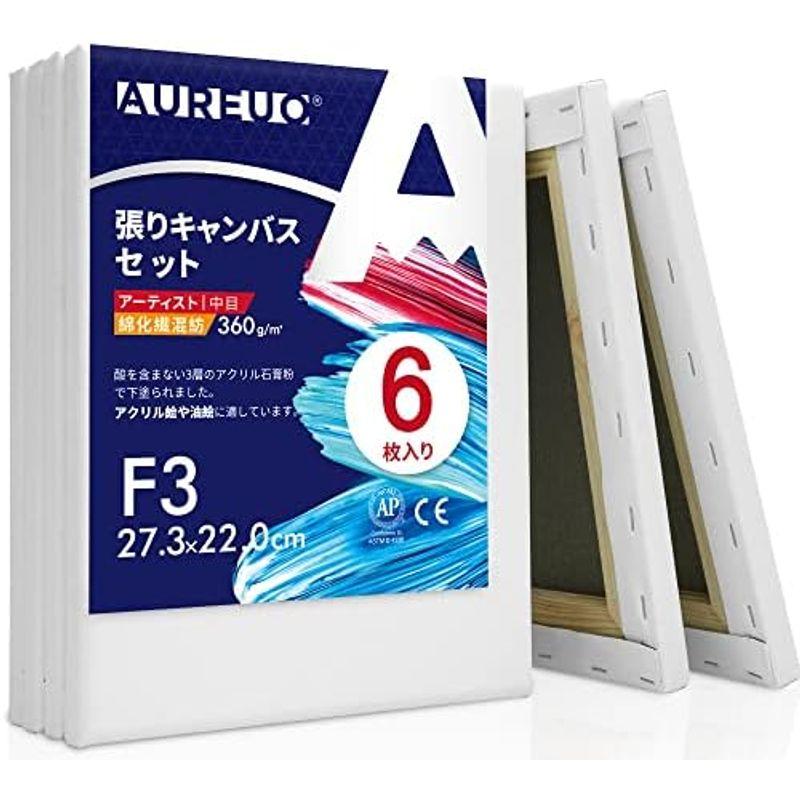 AUREUO 張りキャンバス セット F3 (27.3cmx22.0cm) 中目 綿化繊混紡 2枚 初心者 絵画用具 芸術絵創作 現代油絵｜lr-store｜12