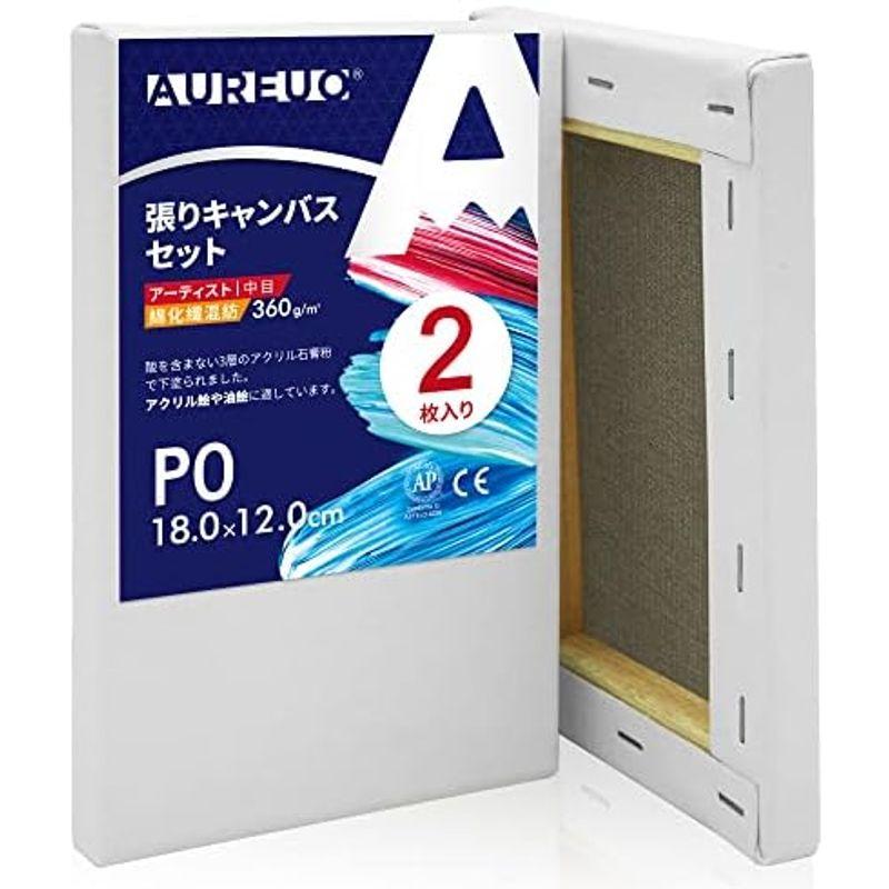 AUREUO 張りキャンバス セット P6 (41cmX27.3cm) 中目 綿化繊混紡 2枚 初心者 絵画用具 芸術絵創作 現代油絵 美術｜lr-store｜05