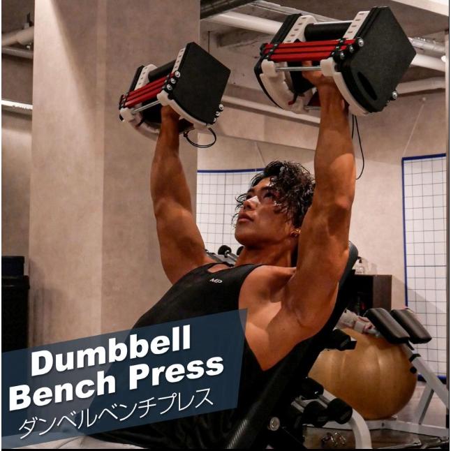 パワーブロック ダンベル 可変式 42kg 2個セット 24段階調節