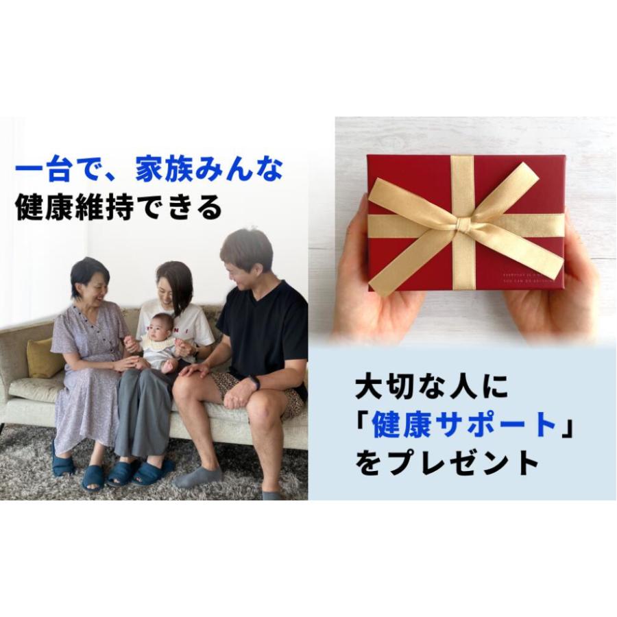 理学療法士監修】 エアロバイク ステッパー Aspiracoin ｜ 静音