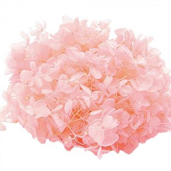 送料無料 東北花材 Toka ドライフラワー ソフトあじさい水無月 プレシャスピンク 約2輪 他商品との同梱不可 Cml ライフスタイルアブラナ 通販 Yahoo ショッピング