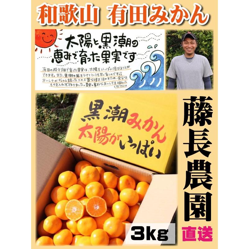 お歳暮 和歌山 有田みかん 藤長農園 直送 黒潮みかん 3kg S〜Lサイズ