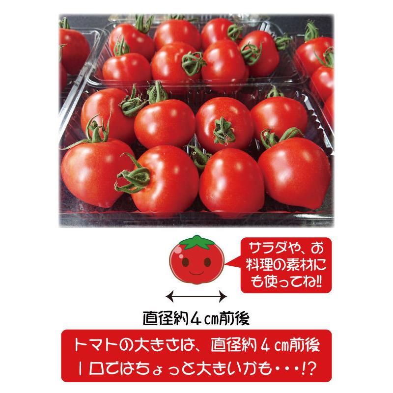 135円 超格安一点 23年分予約 全額返金保証 甘い 808 ミニトマト