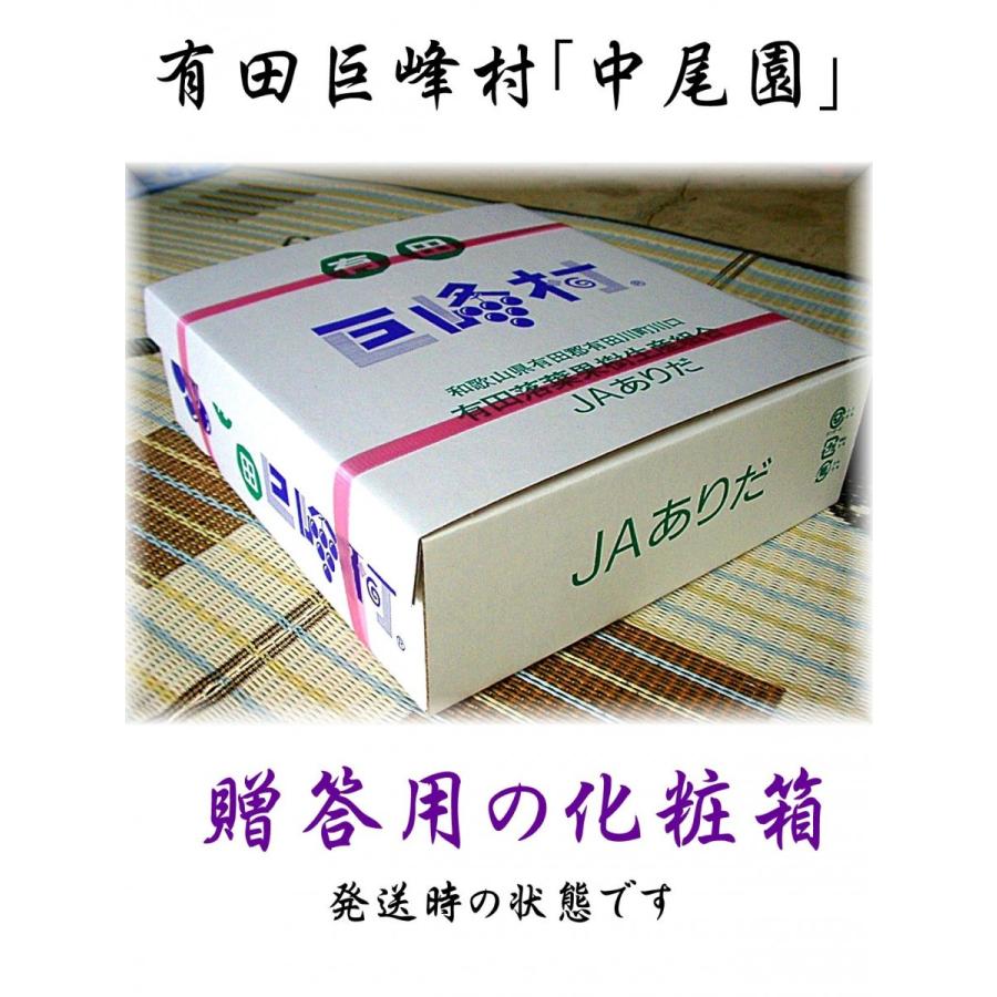 巨峰 ぶどう 種あり 贈答用 ギフト 和歌山県 有田 巨峰村 中尾さんのもぎたて 超甘い 樹成り完熟 種あり葡萄 産地直送 2kg詰 化粧箱入 ８月下旬より順次発送