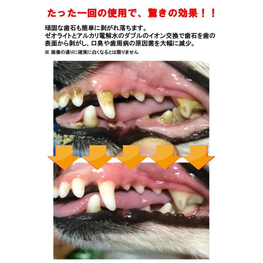 本物保証 犬 猫 歯石 対策 ゼオライト 歯磨き マジックゼオ プロ 40cc オリジナル 歯ブラシ カップ スケール 4点セット Edog Japan