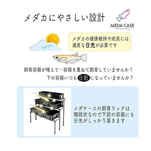以上節約 メダカ飼育ラック Nv Box 13専用設計 めだかのお世話を楽に 防錆 高強度 コンパクト設計 屋外 棚 ラック アクア 容器 水槽 繁殖 選別 タモ Aynaelda Com