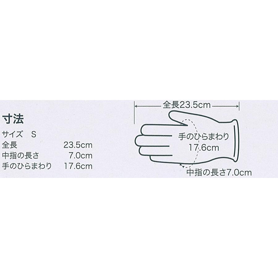 オカモト・エコソフトグローブ（プラスチック手袋）パウダーフリー　100枚×20箱入 |  | 03