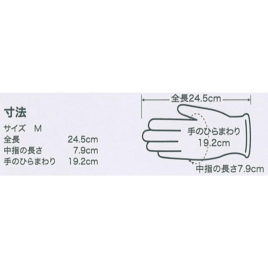 オカモト・エコソフトグローブ（プラスチック手袋）パウダーフリー　100枚×20箱入 |  | 04