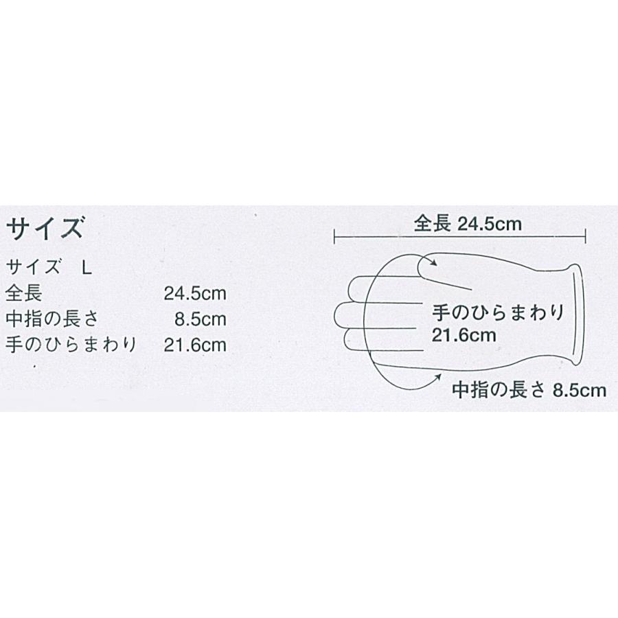 オカモト・エコソフトグローブ（プラスチック手袋）パウダーフリー　100枚×20箱入 |  | 05