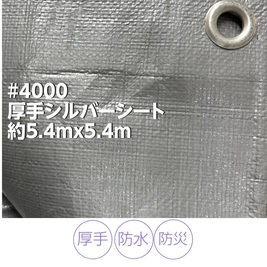 シルバーシート 厚手 4000 UV サイズ 約5.4m×5.4m 梅雨対策 屋外 養生