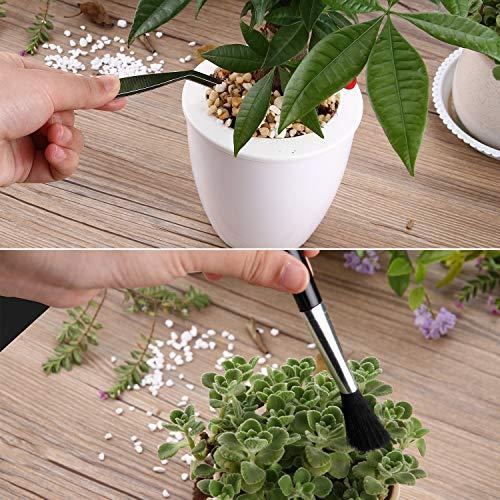 Udoli多肉植物室内 ミニ ガーデニング ツールミニ園芸用品ミニ園芸ツール観葉植物シャベル スコップ ミニ 庭造 Inl Ls Store ヤフー店 通販 Yahoo ショッピング