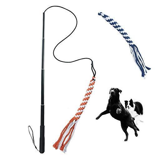 Asocea 犬じゃらし 小型犬 大型 噛むおもちゃ2個 釣竿じゃらし じゃれ犬伸縮式 釣り竿 犬用ロープおもちゃ 犬玩 Jbb Ls Store ヤフー店 通販 Yahoo ショッピング