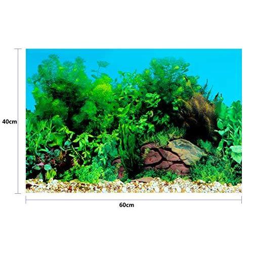 水槽 魚タンク バックスクリーン 両面印刷 背景 水族館ポスター 水槽の飾り G 60x40cm Ola Ls Store ヤフー店 通販 Yahoo ショッピング
