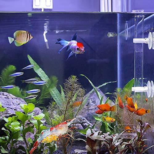 Popetpop 給餌皿 エビ餌 トレイ チューブ 1セット 水槽 アクアリウム エビ 稚魚 飼育用 給餌器 餌皿 Sib Ls Store ヤフー店 通販 Yahoo ショッピング