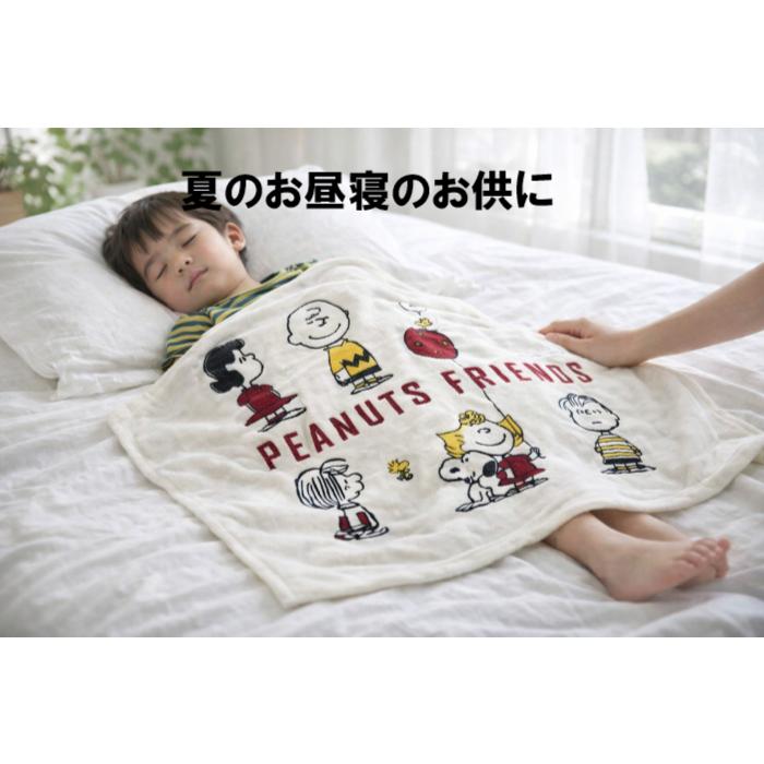 西川（nishikawa） スヌーピー SNOOPY ふんわり軽い ひざかけ毛布