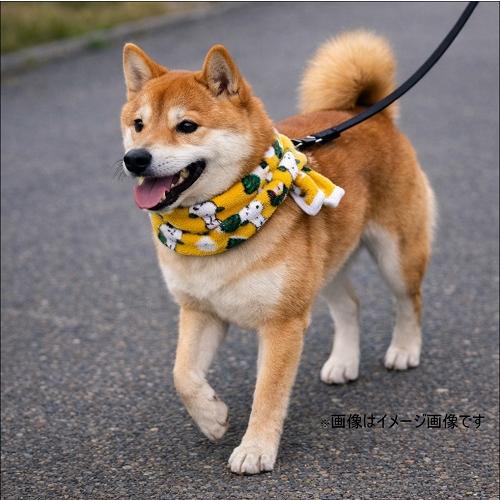 SNOOPY（スヌーピー） タオル ふんわりガーゼ ロングフェイスタオル 25