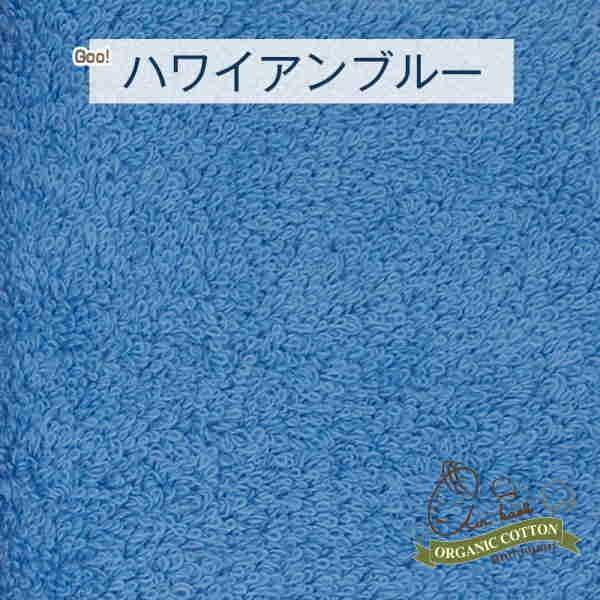 タオル ウォッシュタオル おぼろタオル製  エアーかおる ダディボーイ 32×40cm  スーパーＺＥＲＯ オーガニックコットン100%浅野撚糸 所ジャパン｜lswak｜10