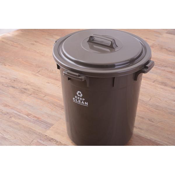 ゴミ箱 ごみ箱 45L ラウンド ペール ダストボックス 丸型 フタ付 幅42.5cm 奥行42.5cm 高さ52cm 東谷 LFS-765 |  | 07