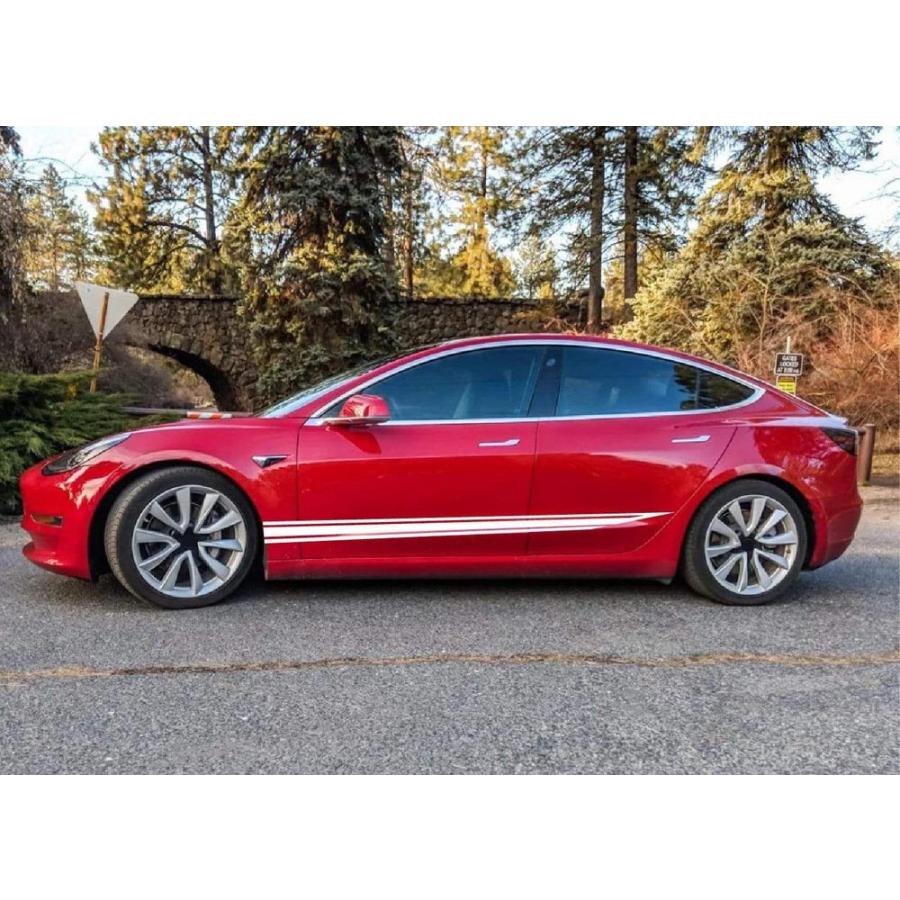 グラフィック デカール ステッカー 車体用 / テスラ モデル3 モデルX モデルY モデルS / クラシック・ステッカー Classic