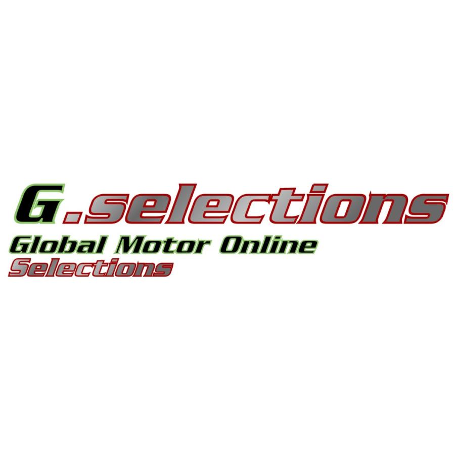 グラフィックデカール /  BMW R1200RS 2015-2017 / BMW Motorsports タンク保護デカールキット G.selection｜ltandpjapan｜13