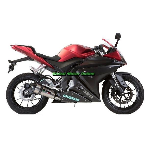イタリア GPR GPE スリップオン マフラー YZF-R125 14-15