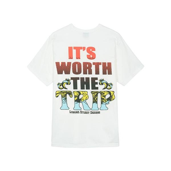 STUSSY（ステューシー） Tシャツ STUSSY WORTH THE TRIP PIG. DYED TEE