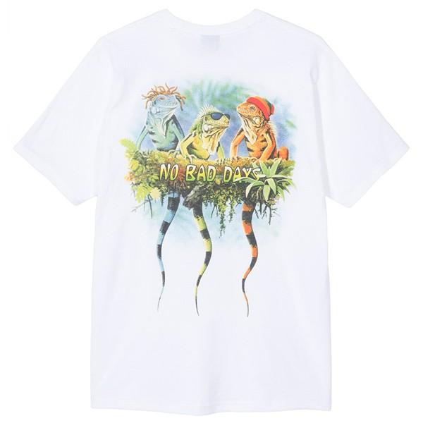 STUSSY（ステューシー） Tシャツ STUSSY NO BAD DAYS TEE white