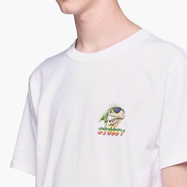 STUSSY（ステューシー） Tシャツ STUSSY NO BAD DAYS TEE white