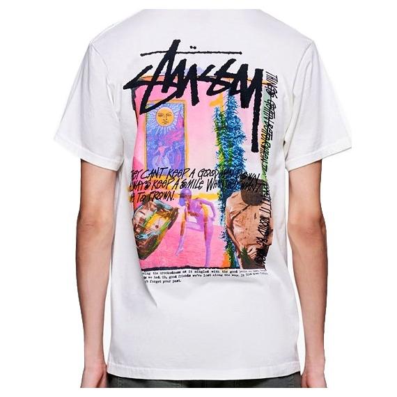 STUSSY（ステューシー） Tシャツ STUSSY DAYDREAM PIG. DYED TEE