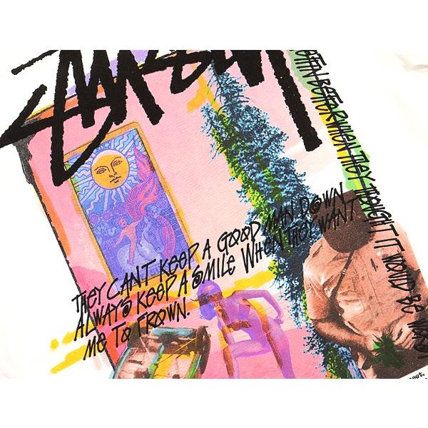 STUSSY（ステューシー） Tシャツ STUSSY DAYDREAM PIG. DYED TEE