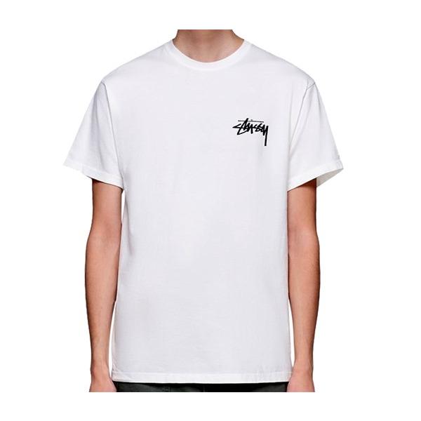 STUSSY（ステューシー） Tシャツ STUSSY DAYDREAM PIG. DYED TEE