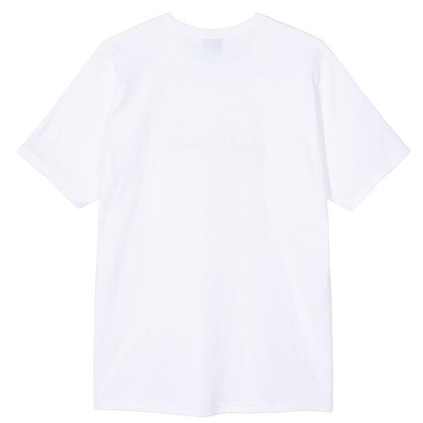 STUSSY（ステューシー） Tシャツ STUSSY GLOBAL ROOTS TEE WHITE 