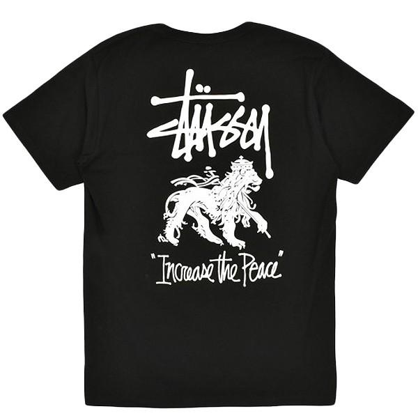 Stussy ライオン Tシャツ X-LARGE STUSSY Tシャツ センターロゴ ラスタ ライオン XLサイズ 希少