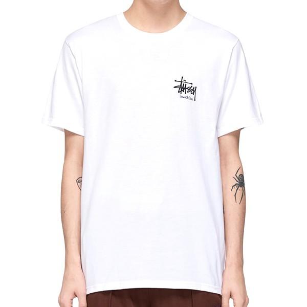 STUSSY（ステューシー） Tシャツ STUSSY ITP LION TEE WHITE 1904477