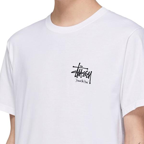 STUSSY（ステューシー） Tシャツ STUSSY ITP LION TEE WHITE 1904477