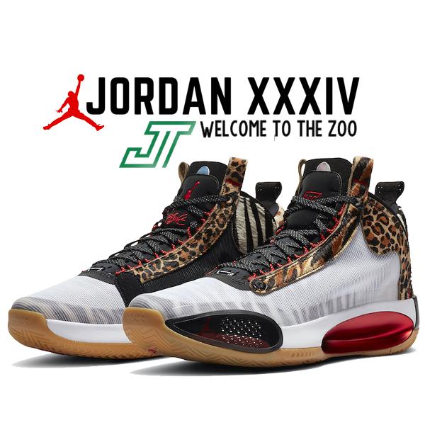 Jordan ナイキ エアジョーダン 34 テイタム NIKE AIR JORDAN XXXIV