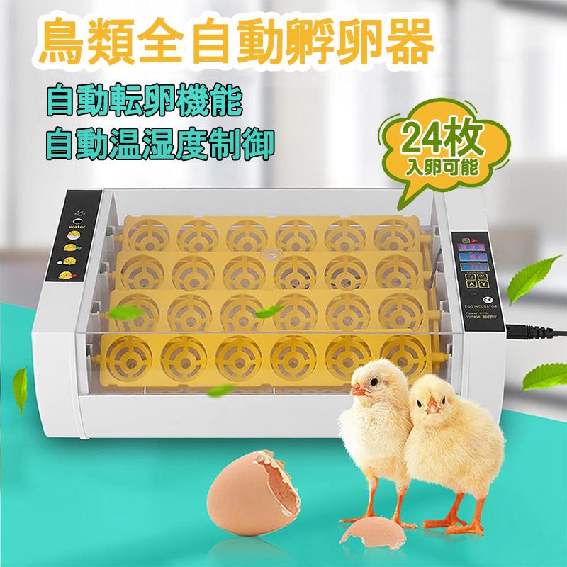 自動孵卵器 インキュベーター LED液晶 24枚 鶏 にわとり ウズラ  