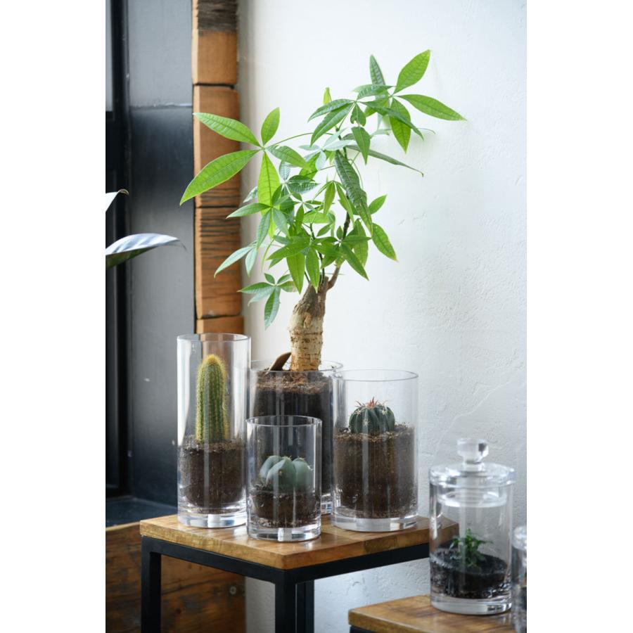 最適な価格 おしゃれ インテリア シンプル 花屋 フラワーアレンジメント 高さ30cm 大きい 割れない花瓶 割れないガラス 送料無料 北欧 安全 フラワーベース 透明 和風 花瓶 花器 Blog Runnics Com