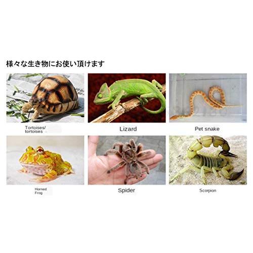 heizi 亀 浮島 爬虫類 シェルター ケージ ひなたぼっこ 隠れ家 heizi 亀 浮島 爬虫類 シェルター ケージ ひなたぼっこ 隠れ家
