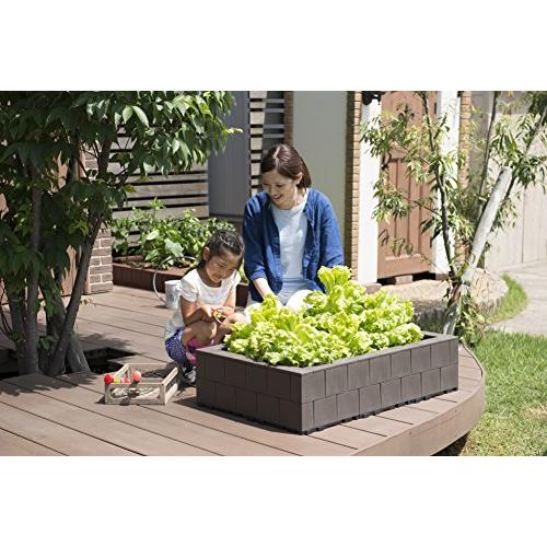 システムファーム（組立て式花壇・菜園） 60cm×90cm×2段 セット チャコールブラウン チャコールブラウン