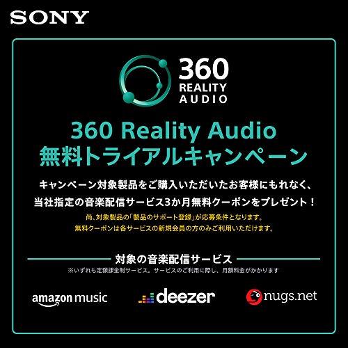 ソニー イヤホン ハイレゾ対応 カナル型 ケーブル着脱式 360 Reality Audio認定モデル XBA-N1 Q｜luana-shop01｜02