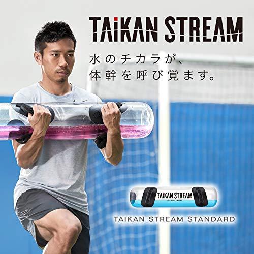 MTG 体幹トレーニングギア TAIKAN STREAM(タイカン ストリーム MTG 体幹トレーニングギア TAIKAN STREAM(タイカン ストリーム