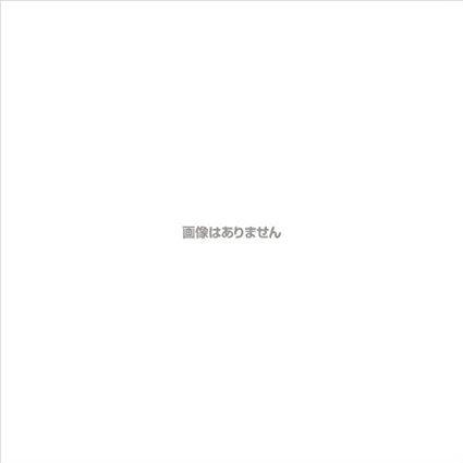 パナソニック 4倍速ブルーレイディスク片面1層25GB(追記型)20枚P LM-BR25LP20
