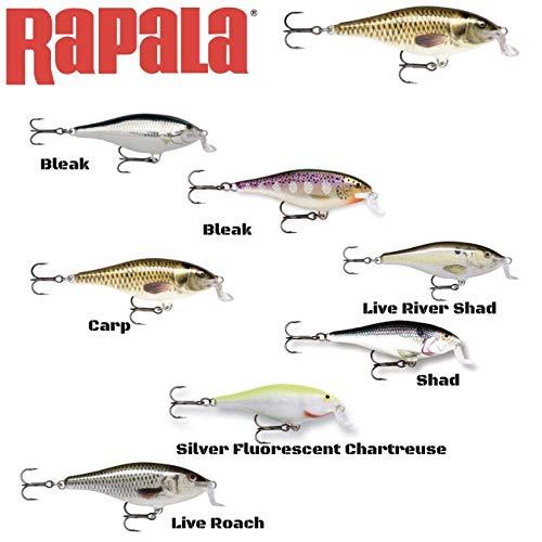 Rapala(ラパラ) シャッド シャロー シャッドラップ 7cm 7g ライブローチ ROL SSR7-ROL ルアー｜luana-shop01｜03