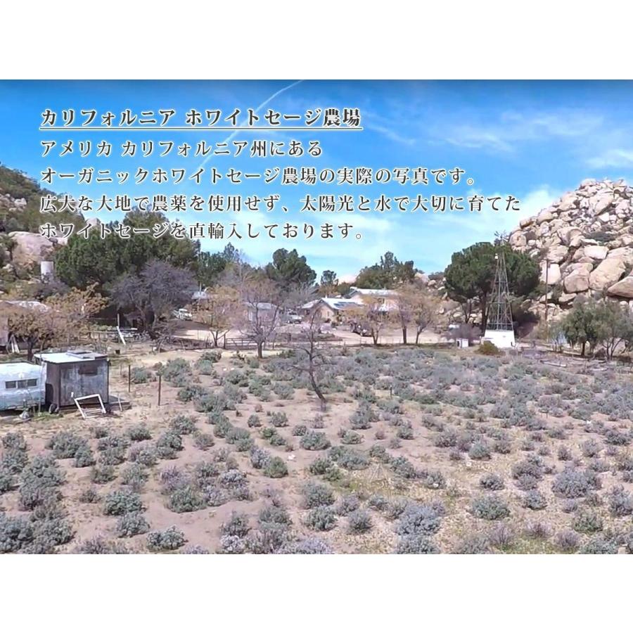 ホワイトセージ 浄化ディフューザー 詰替え用リフィル【天然成分100%】  LUCAS ルカス |  | 09