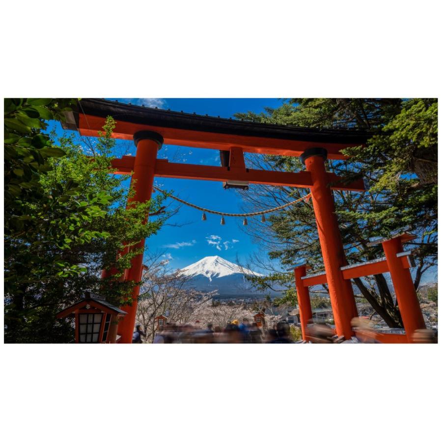 富士山 鳥居 ウォールステッカー 日本製 壁紙 森林 木 神社 植物 緑 旅行 写真 ポスター シール アート Acw 0007 Kyn N Lucca 通販 Yahoo ショッピング